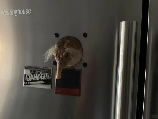 空》杨奇晒黄眉冰箱贴 造型很猎奇ag真人平台第一游戏《黑神话：悟(图1)